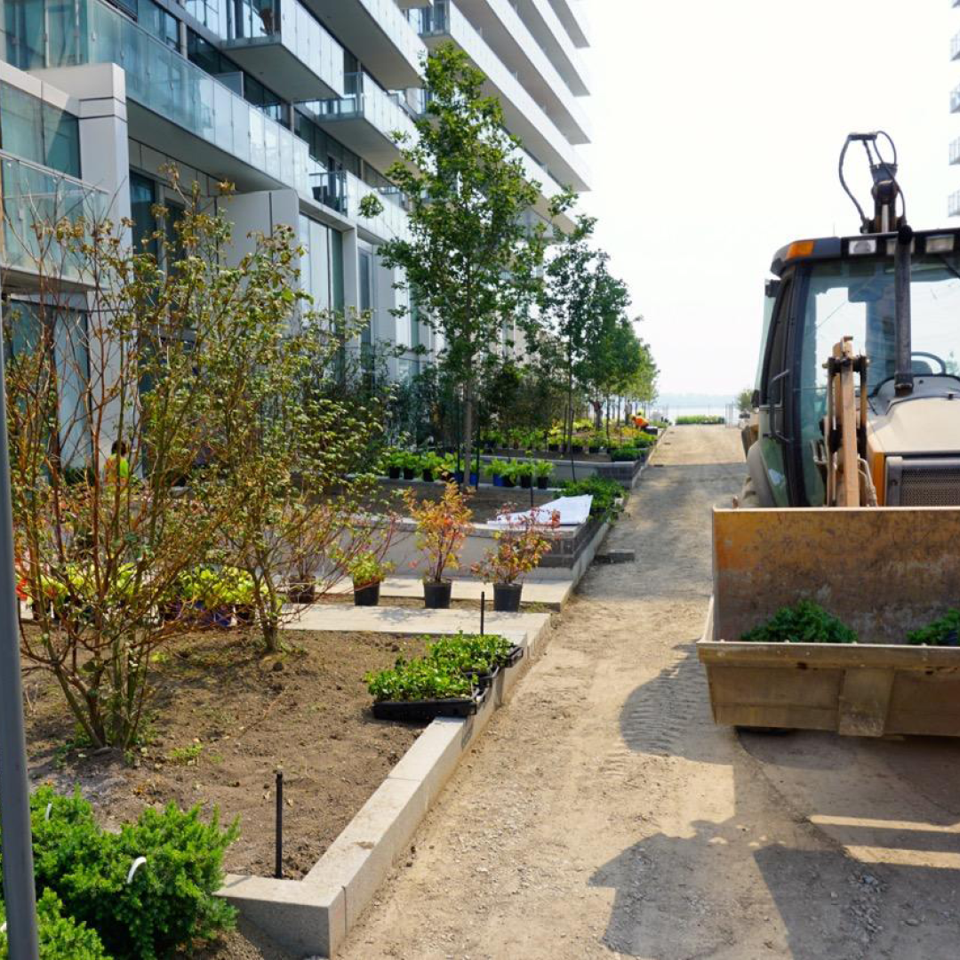 Landscapes Canada BEFORE