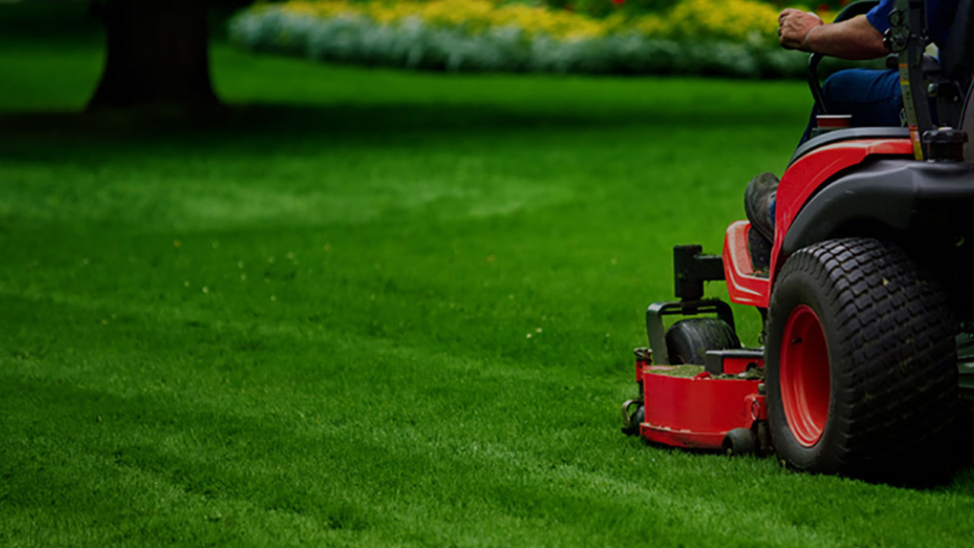 Riding mower cutting a green lawn beside a flower bed